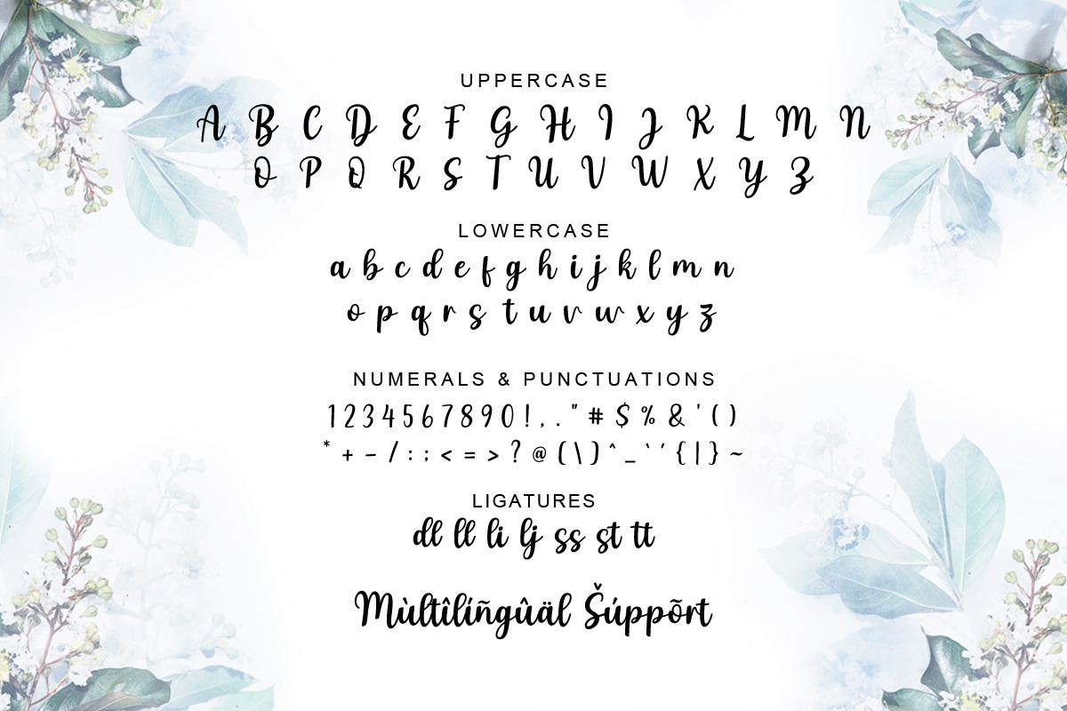 Austaly Calligraphy Font, a Script Font by Multype Studio (Photo 7 of 7)