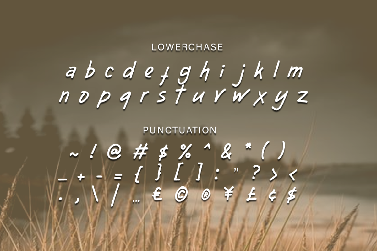 Avanguide, a Font by GlottaTypeface (Photo 6 of 8)