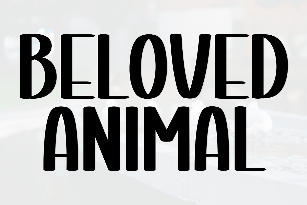 This Lovely, a Sans Serif Font by FreshTypeINK (Photo 7 of 8)