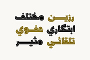 Dardashah - Arabic Font, a Script Font by Mostafa El Abasiry (Thumbnail 6 of 16)