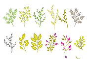 Floral illustrations, vector objects, an Object Graphic by bigmomentsdesign (Thumbnail 5 of 8)