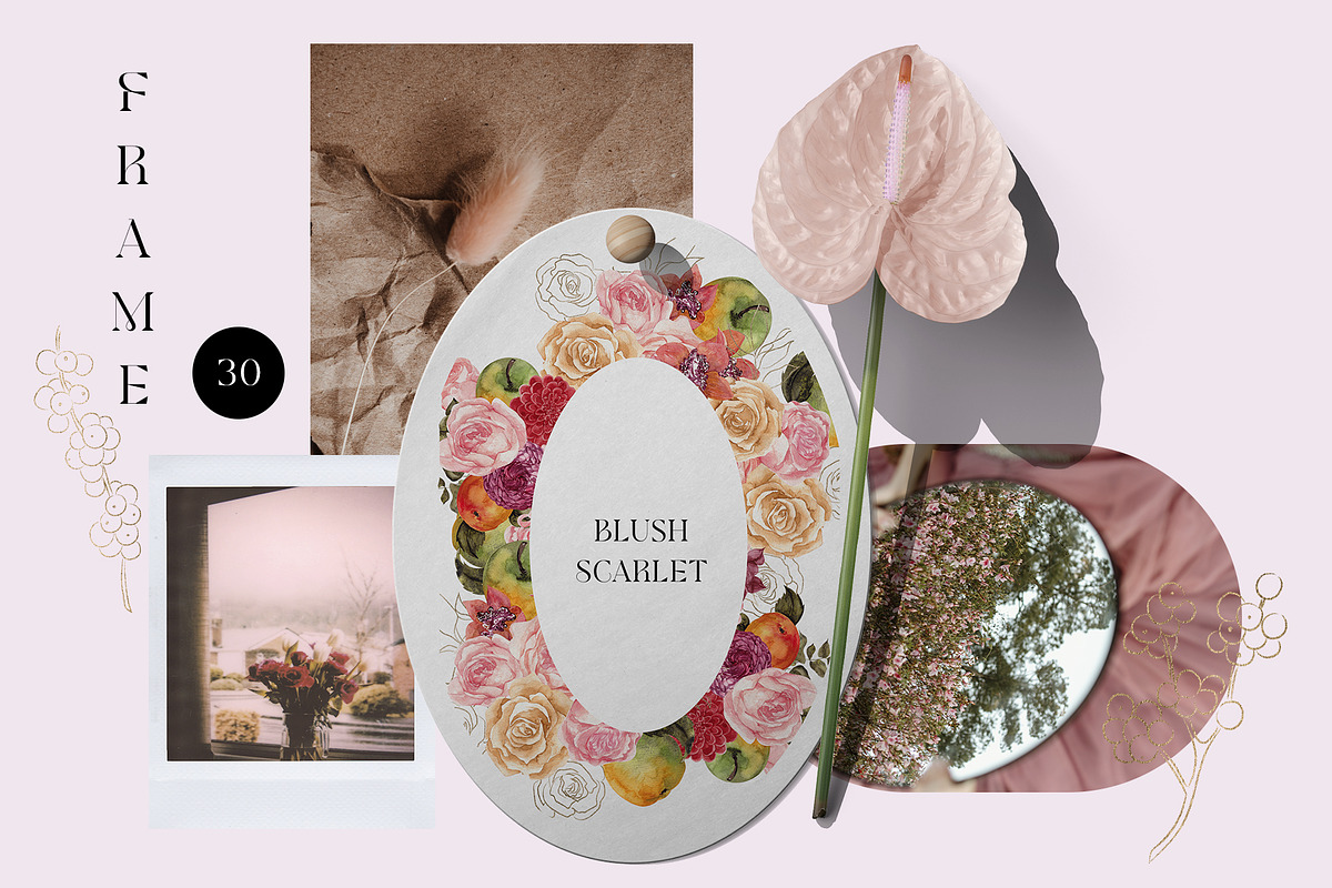Blush Scarlet. Fall Graphic., an Object Illustration by ma_i_vi (Photo 6 of 11)