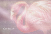 Rosewater Dreamy Pastel Backgrounds, a Background Graphic by alonahaidash (Thumbnail 14 of 16)