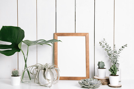 Collection of plants & frame containing laptop, minimal, and houseplant, an Arts & Entertainment Photo by KateAedon
