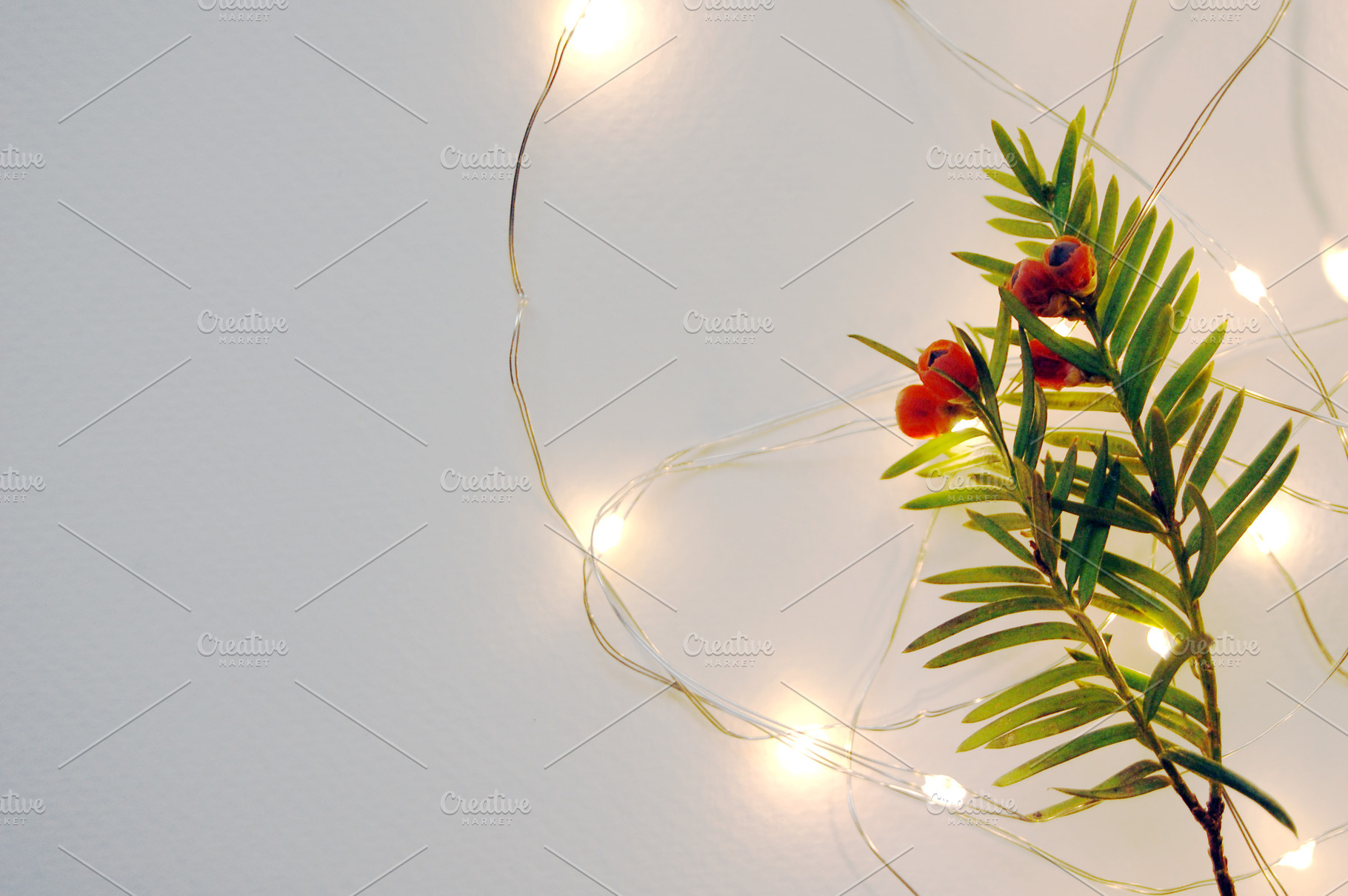 christmas lights, a Holiday Photo by rebekka_ivacson