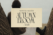 Luxury Wedding Font Bundle, a Serif Font by AndrewPixelType (Thumbnail 15 of 44)