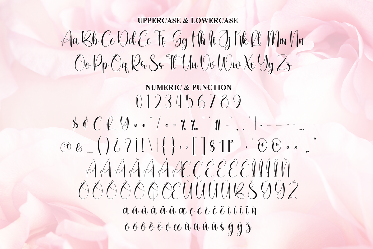 Blushing | Script Font, a Handwritten Font by Scratchones (Photo 7 of 8)