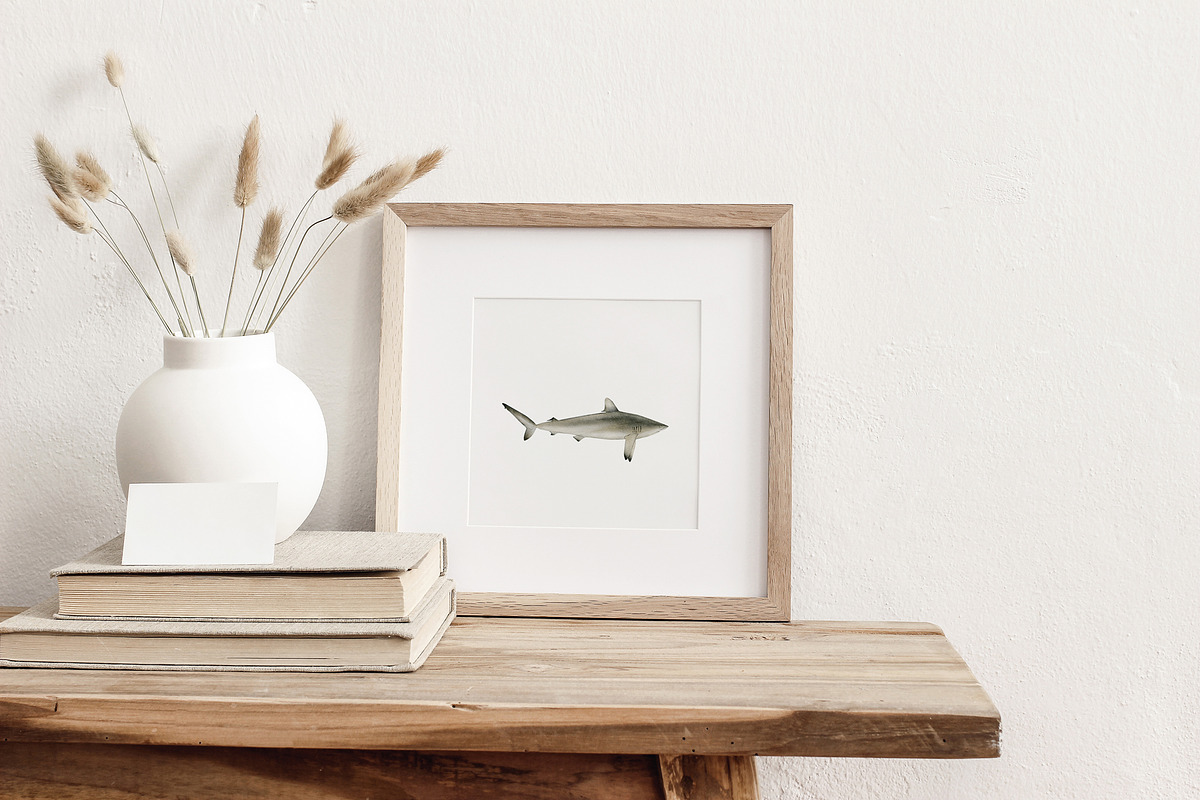 Watercolor Sharks. Ocean animals set, an Animal Illustration by Diana Askarova Art (Photo 8 of 9)