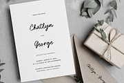 Brittney & Jasmine Brush Script Font, a Script Font by Heinzel Std (Thumbnail 4 of 13)
