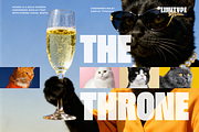 Moara - Bold Condensed Font, a Sans Serif Font by limitype (Thumbnail 2 of 13)