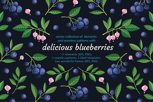 Delicious blueberries. Vector set.