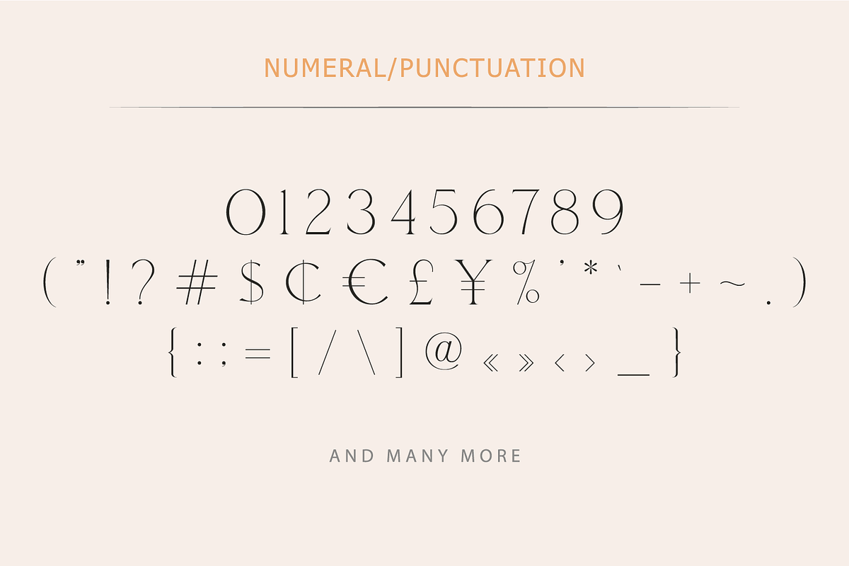 Bechilo – Modern Serif Font, a Serif Font by Yahya Type (Photo 21 of 25)