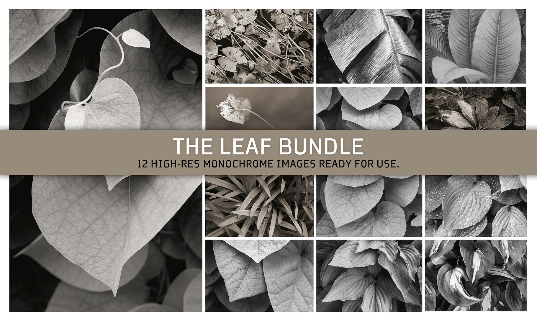The Leaf Bundle