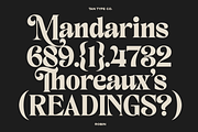 TAN - ROBIN, a Serif Font by TanType (Thumbnail 4 of 11)