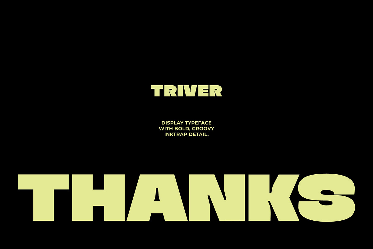 Triver - Bold Inktrap Font, a Sans Serif Font by limitype (Photo 12 of 12)