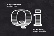 Monarch North Line Hatch Font, a Slab Serif Font by Parker Creative (Thumbnail 4 of 8)