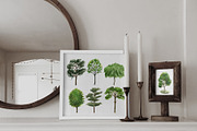 Watercolor Green Trees Clipart, an Illustration by OlDm_Shop (Thumbnail 5 of 8)