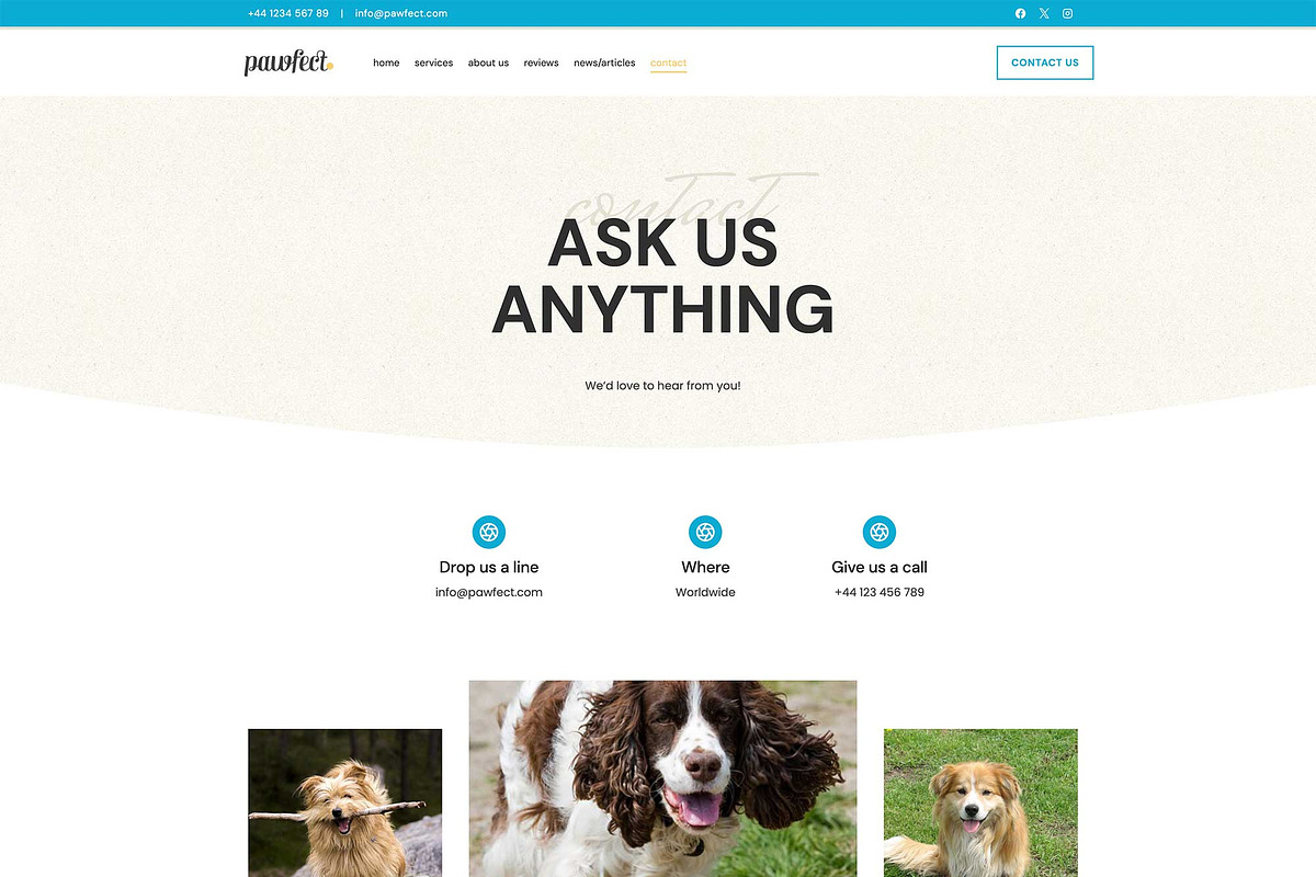 Pawfect - Wordpress Kadence Theme, a WordPress Template by StylishDesignMe (Photo 3 of 7)
