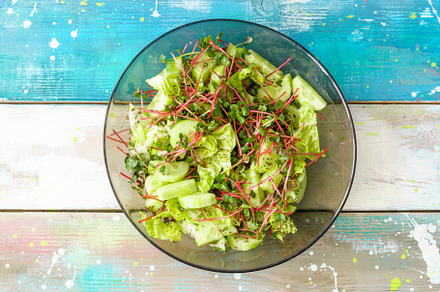 Fresh green salad with red radish microgreens and vegetable mix. Healthy food a, a Food & Drink Photo by Eugene_Photo