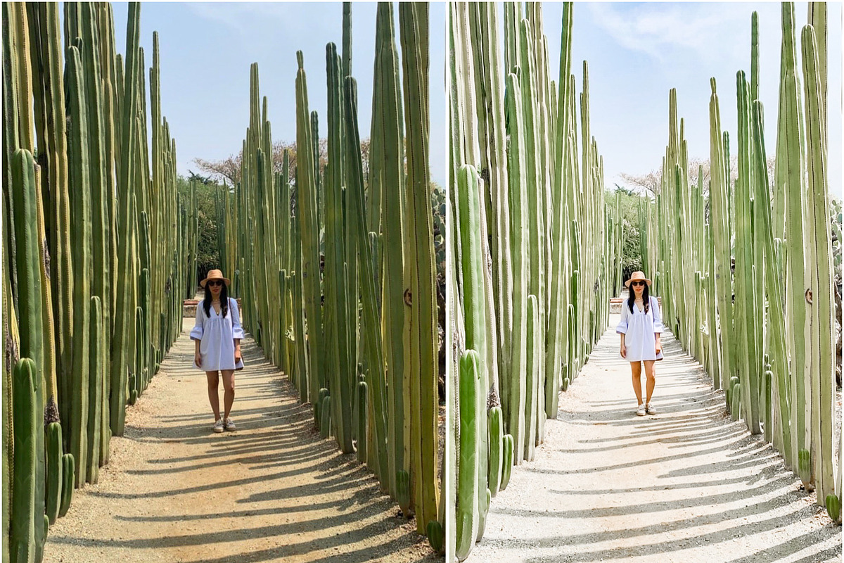 JBC Lightroom Mobile Preset Bundle, an Action Add-On by JanaBishopCollection (Photo 6 of 11)