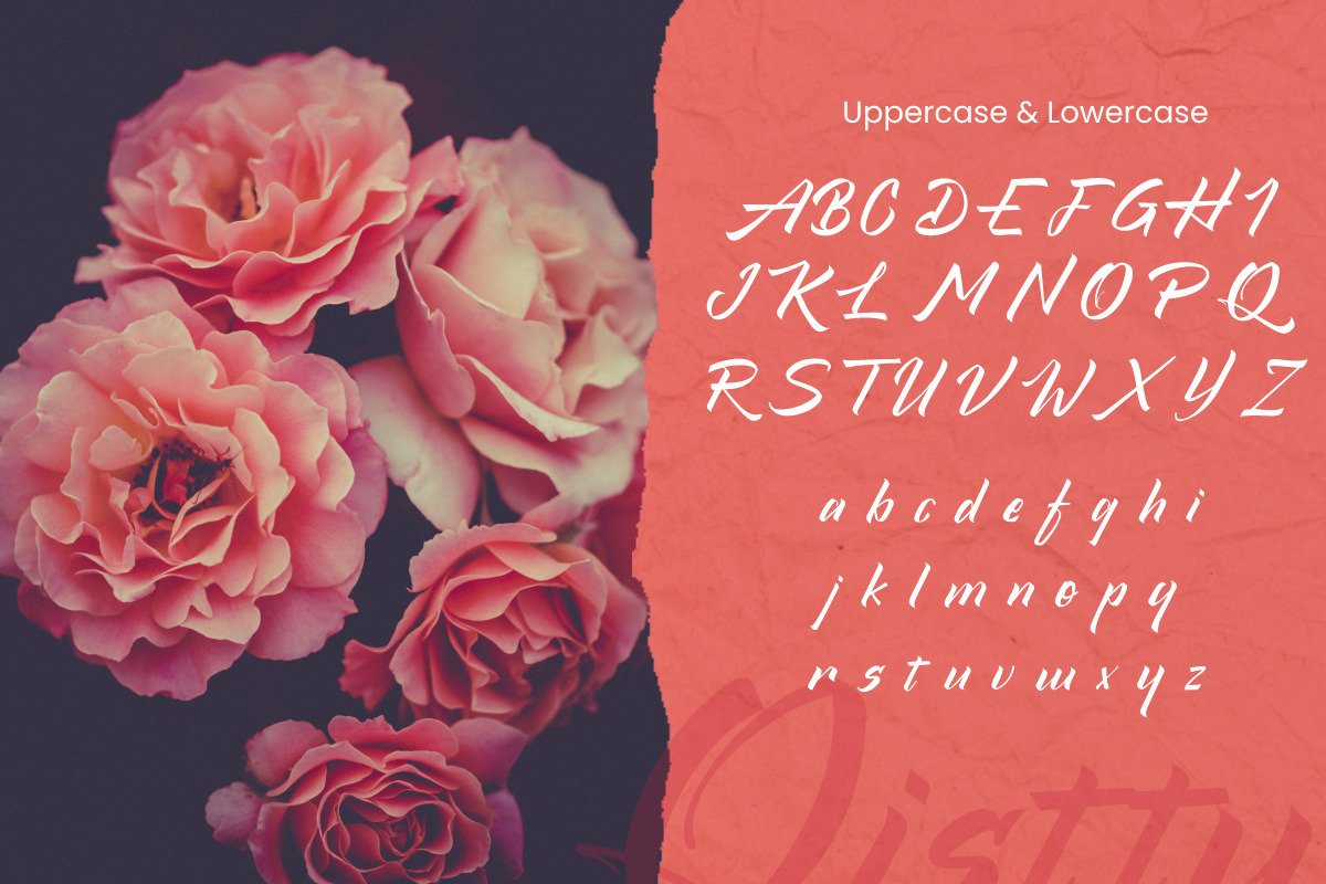 Qistty - Casual Display Font, a Font by Saxofont (Photo 6 of 8)