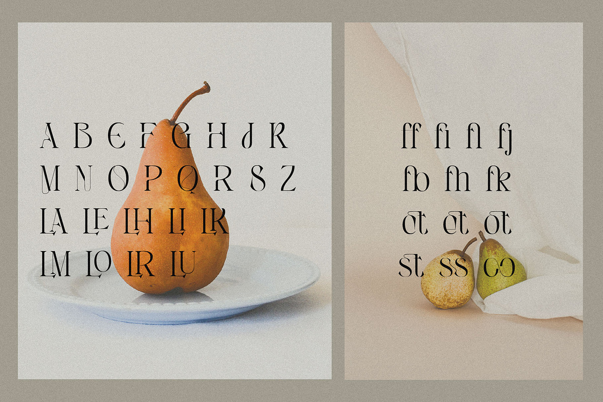 Angelissa - Elegant Modern Serif, a Serif Font by BrandSemut (Photo 7 of 10)