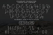 Patrick Tonight, a Handwritten Font by FreshTypeINK (Thumbnail 5 of 8)