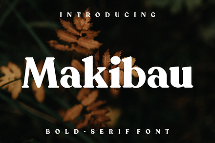 Makibau, a Serif Font by lelevien