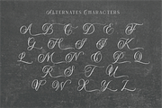 Heaven Of Love | Ligature Serif, a Serif Font by Silverdav (Thumbnail 9 of 12)
