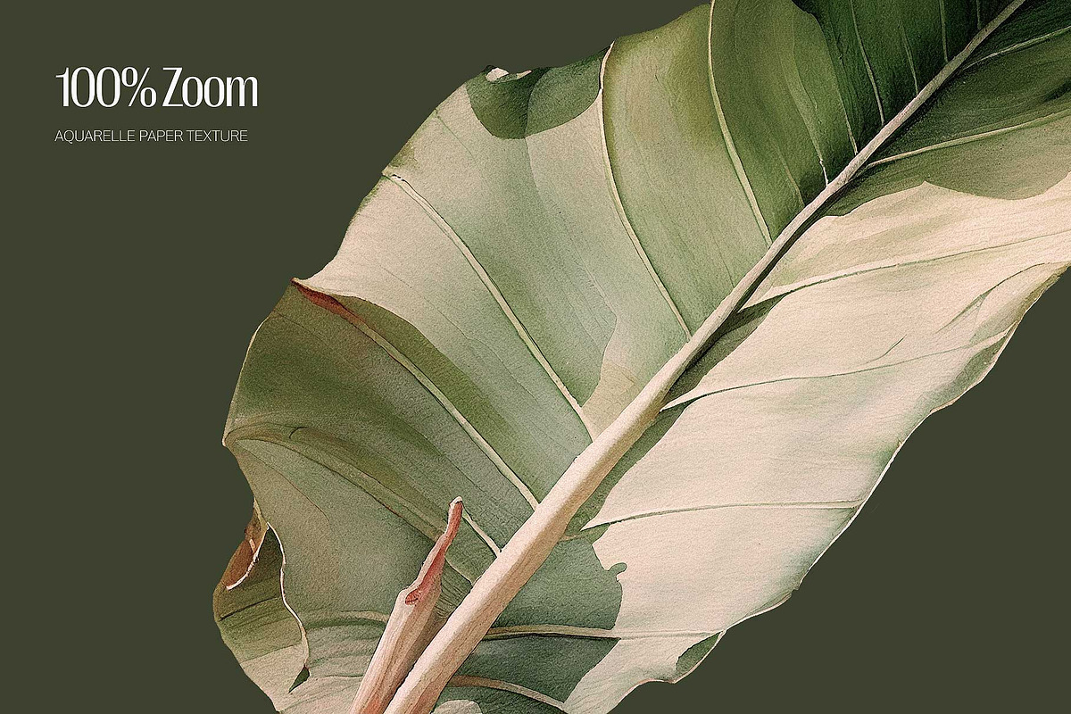 Tropical - watercolor illustrations, a Decorative Illustration by AI Crafted Magnolia (Photo 3 of 13)