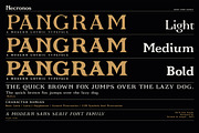 Necronos - Serif font family, a Serif Font by Artistic & Unique (Thumbnail 15 of 15)