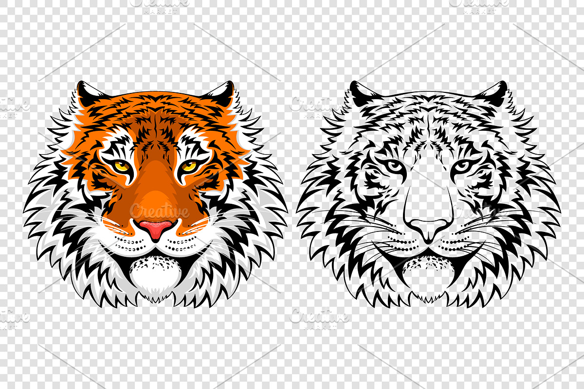 Tiger portraits set, an Animal Illustration by Vector beauty (Photo 2 of 3)