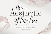 Aesthetic Styles - Tall Serif, a Serif Font by Sarid Ezra (Thumbnail 1 of 11)
