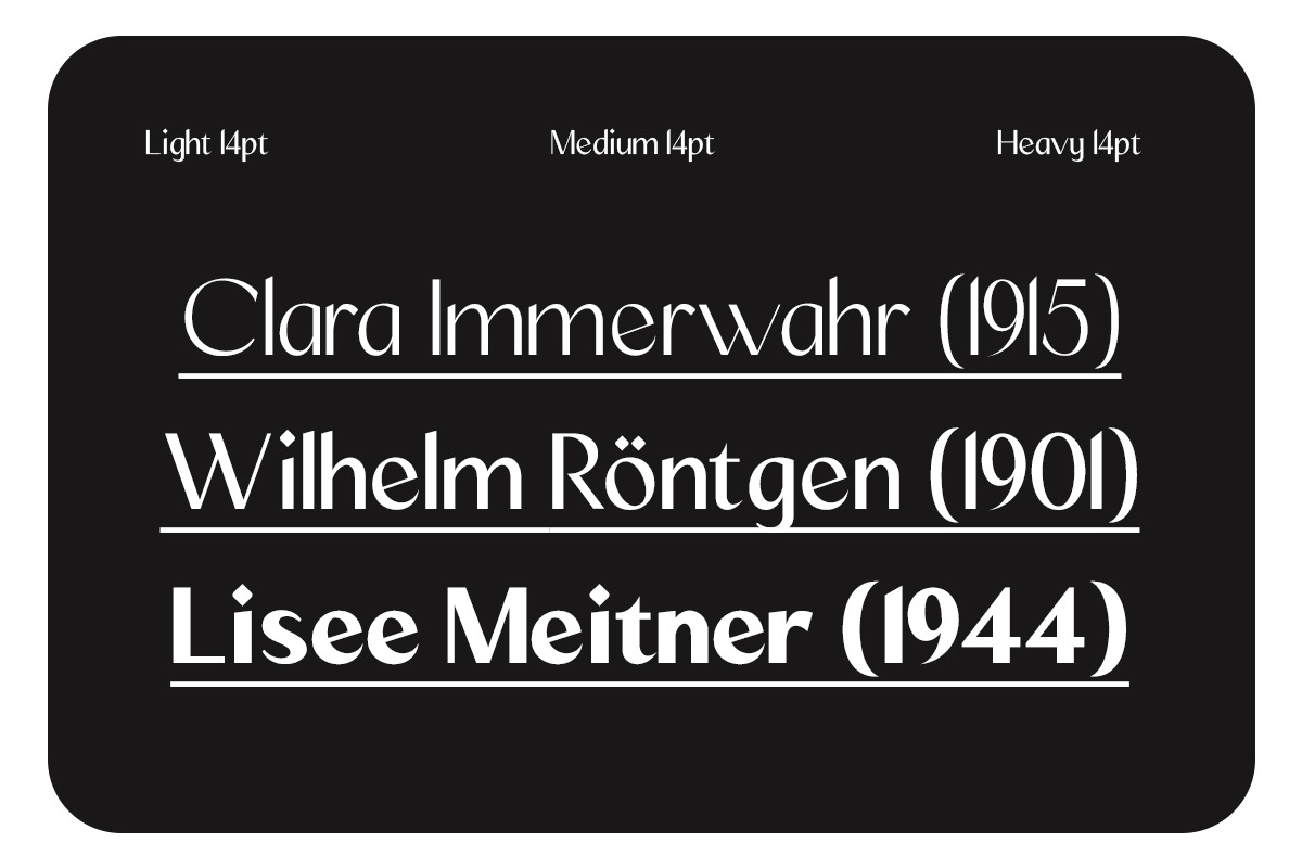 Mizhon Sans| 12 Fonts, a Sans Serif Font by Skinny Type (Photo 3 of 8)