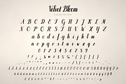 Velvet Bloom – Brush Script Font, a Script Font by vladocar (Thumbnail 2 of 10)