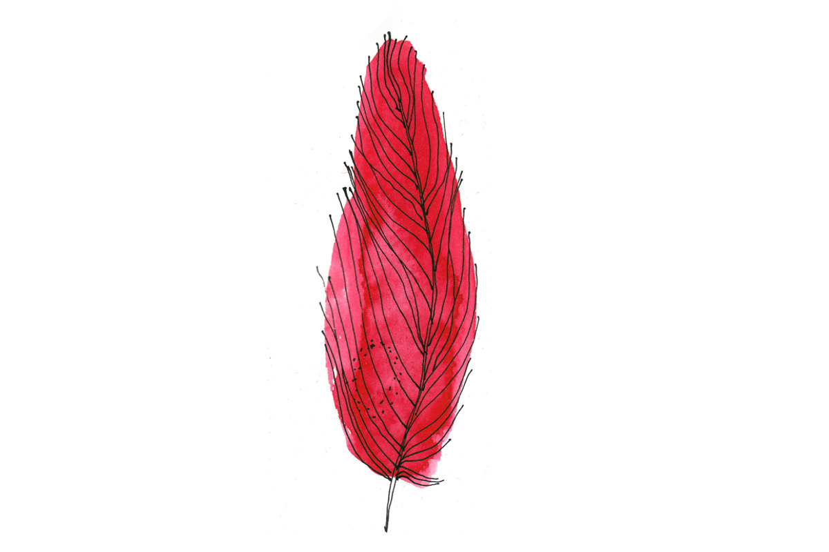 Colorful Feathers Pattern preview 2