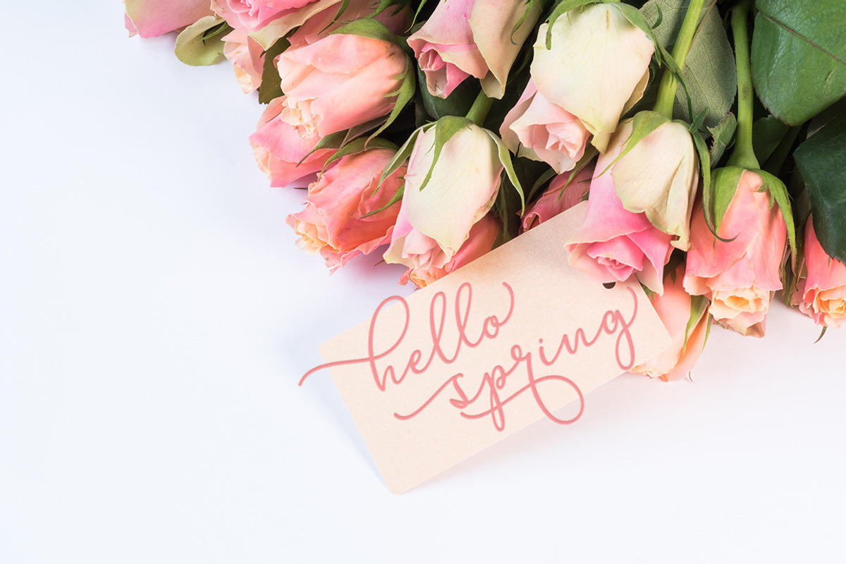 Marshella Script Font, a Script Font by Cut Story (Photo 5 of 10)