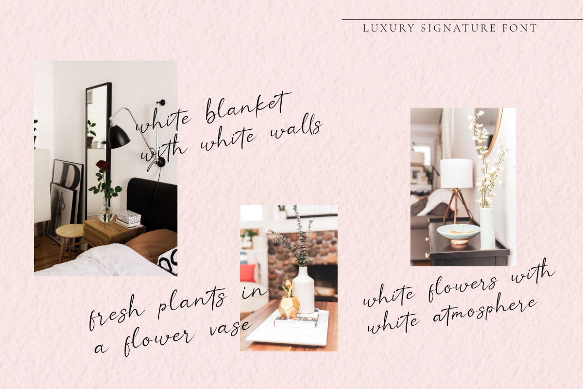 Saintine | Classy Signature Font, a Script Font by Rissyletter Studio (Photo 2 of 13)