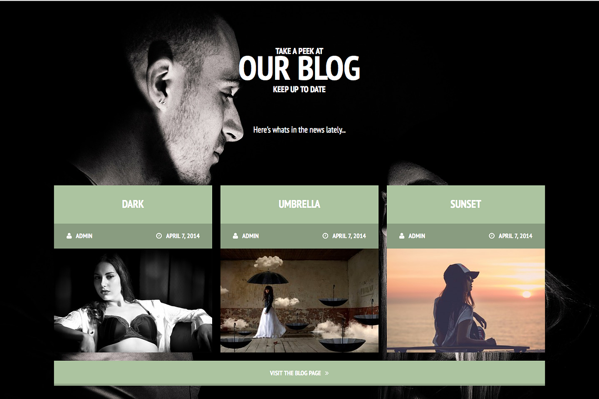 Geulish Onepage Model Agency Theme, a WordPress Template by Tetuko Themes (Photo 4 of 5)