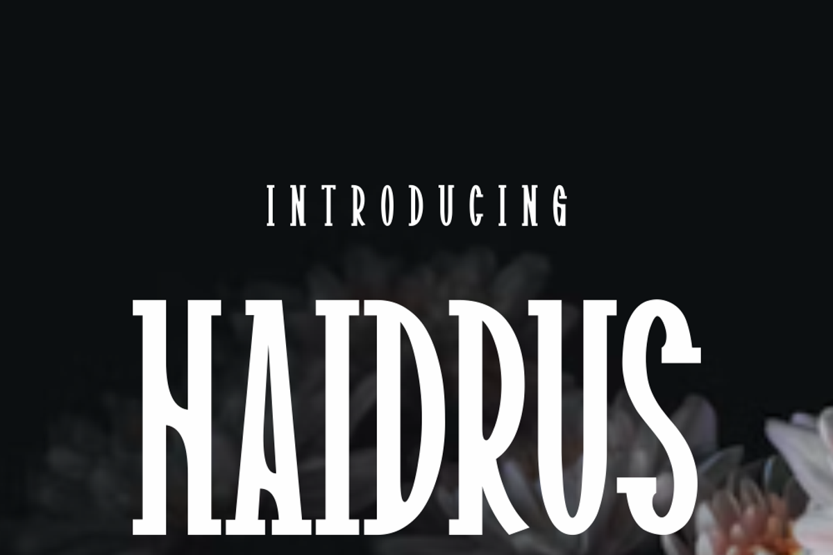 Haidrus, a Serif Font by lelevien (Photo 2 of 5)