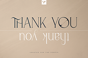 Malinger - Elegant Serif Font, a Serif Font by VP Fonts (Thumbnail 20 of 20)