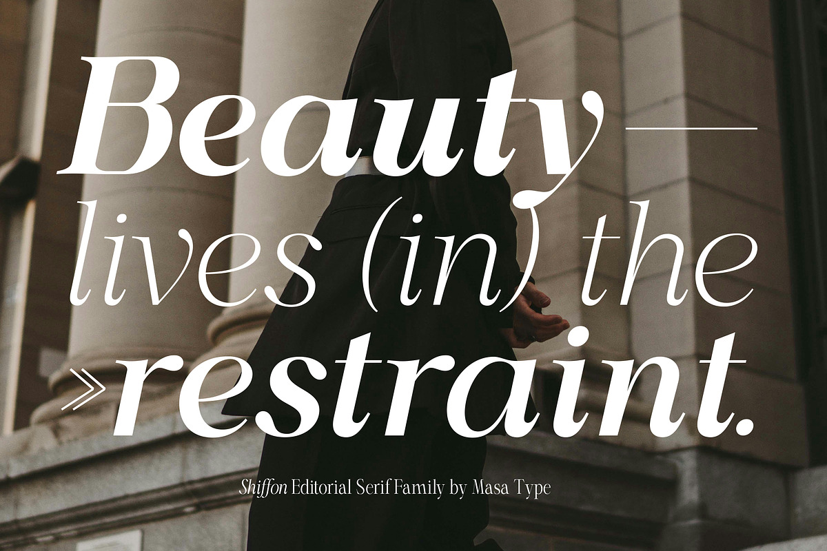 Shiffont Serif, a Serif Font by MasaType (Photo 2 of 12)