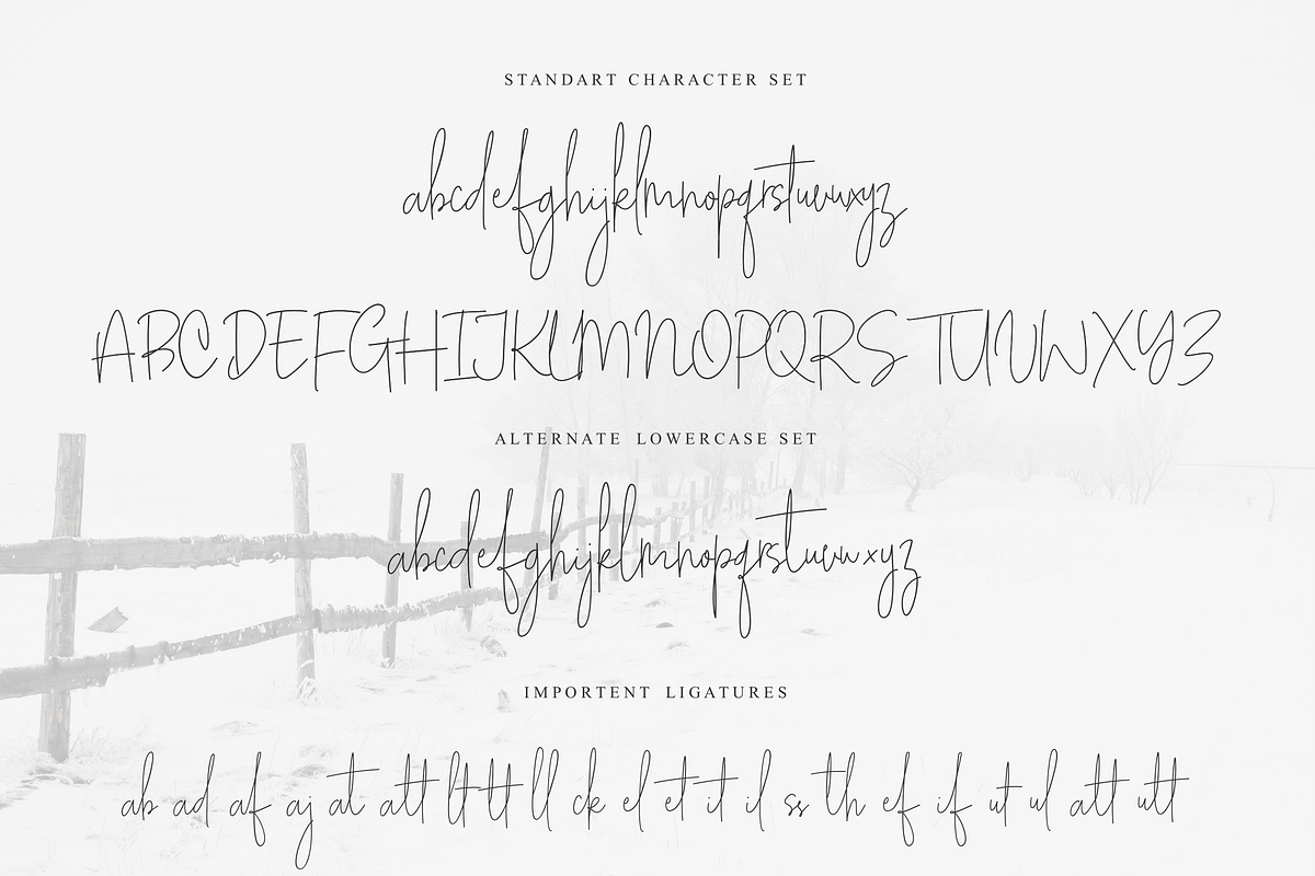 White Apparel | Script Font preview 5