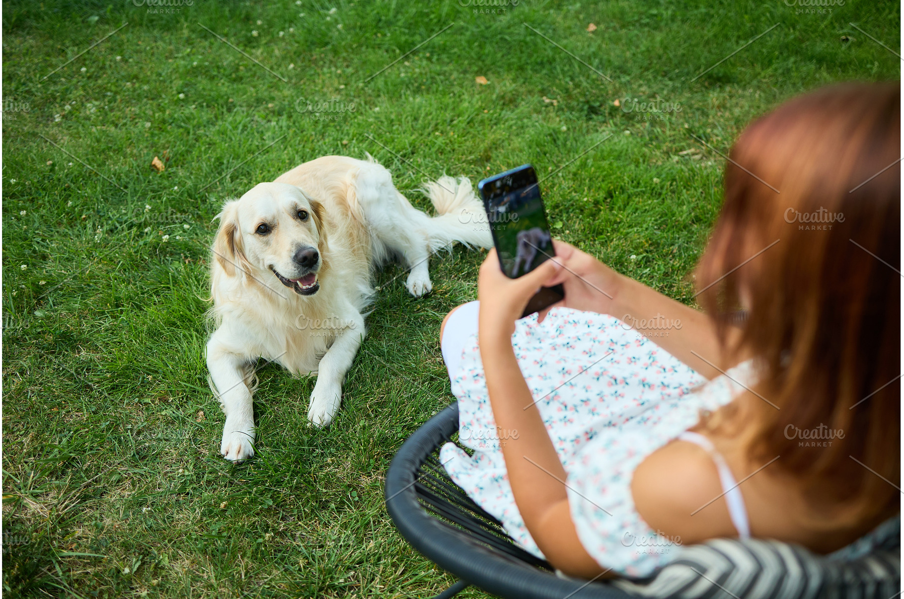 Dog lies on grass while person takes, a Nature Photo by IlliaBondarPhotography