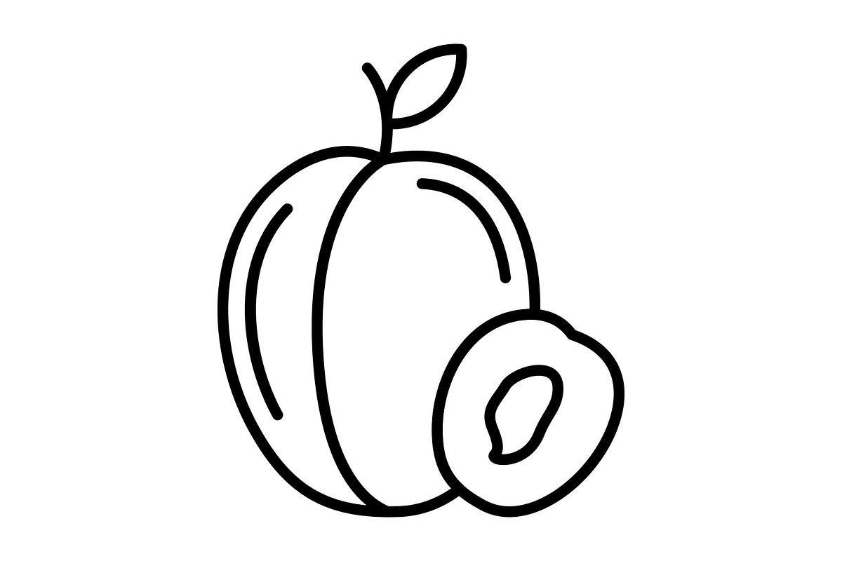 Apricot Line Icon, an Outline Icon by Pexelpy (Photo 1 of 2)