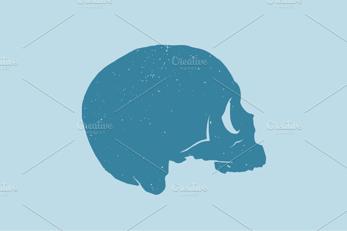 4 Grunge Vector Skulls, an Illustration by vsdsgn (Photo 3 of 3)