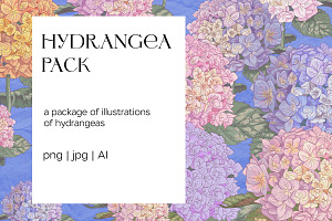 Hydrangea illustration pack