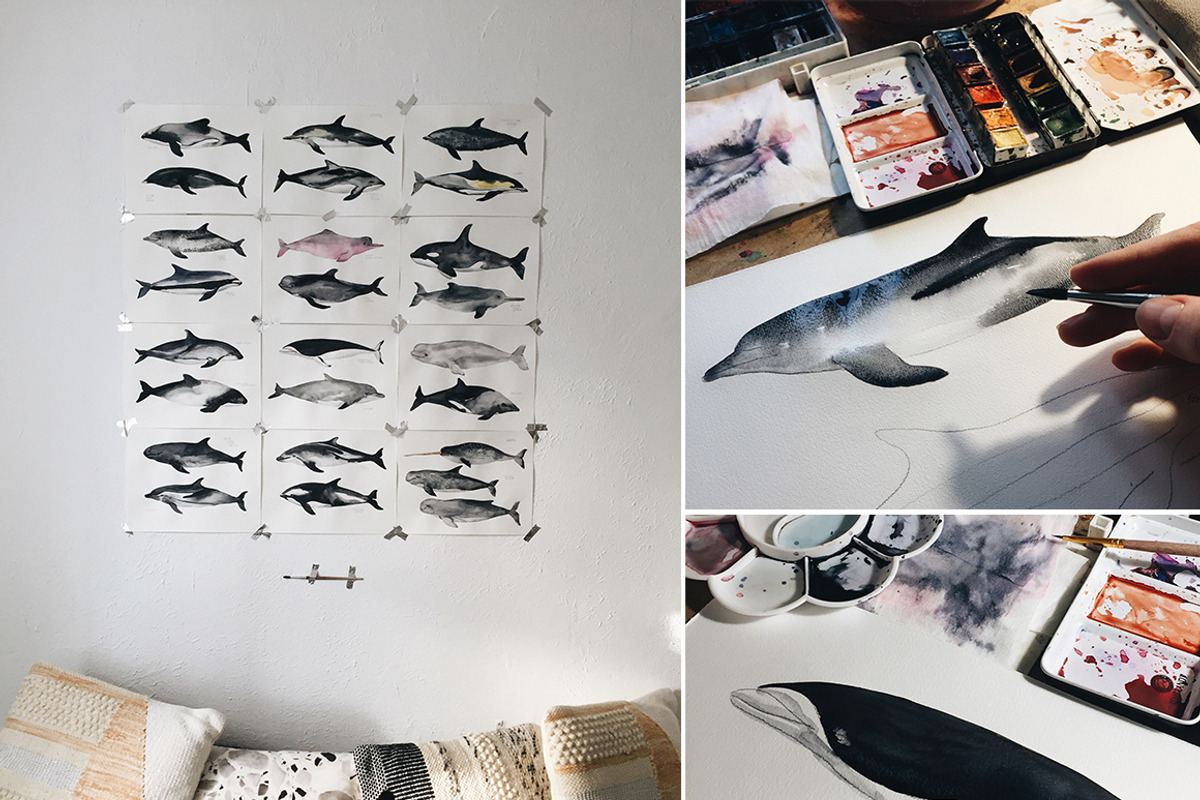 Dolphins - watercolor set, an Animal Illustration by KatBranchArt (Photo 4 of 4)