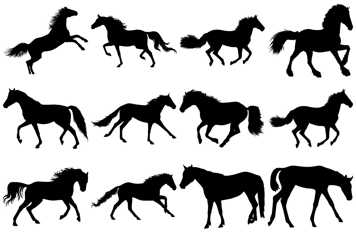 Horse Silhouettes AI EPS PNG, an Illustration by FrankiesDaughtersDesign (Photo 3 of 7)