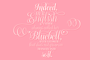 Bluebell - 6 fonts -Sale, a Script Font by Fenotype (Thumbnail 4 of 9)